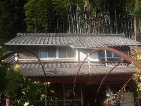 koya.jpg