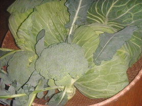 syuukakubi.jpg