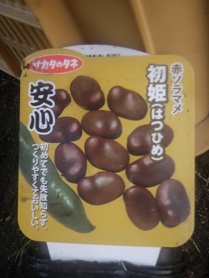 akasoramame2.jpg
