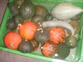 nagorinokabotya.jpg