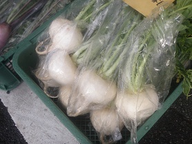 syougoindaikon.jpg